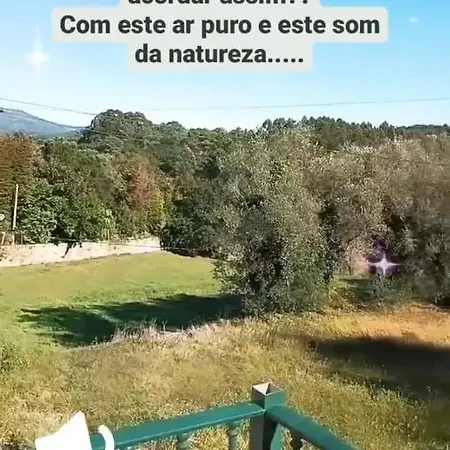 Real Lar * Palmeira de Faro